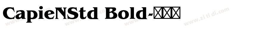 CapieNStd Bold字体转换